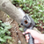 mini chainsaw